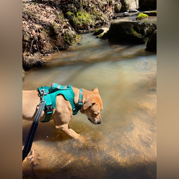 Meet your Posher, Stef๐ - Picture 11 of 11